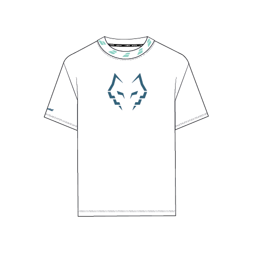 BABOLAT COTTON TEE WIDE J. LEBRON 6MZ26443 White/White 1000